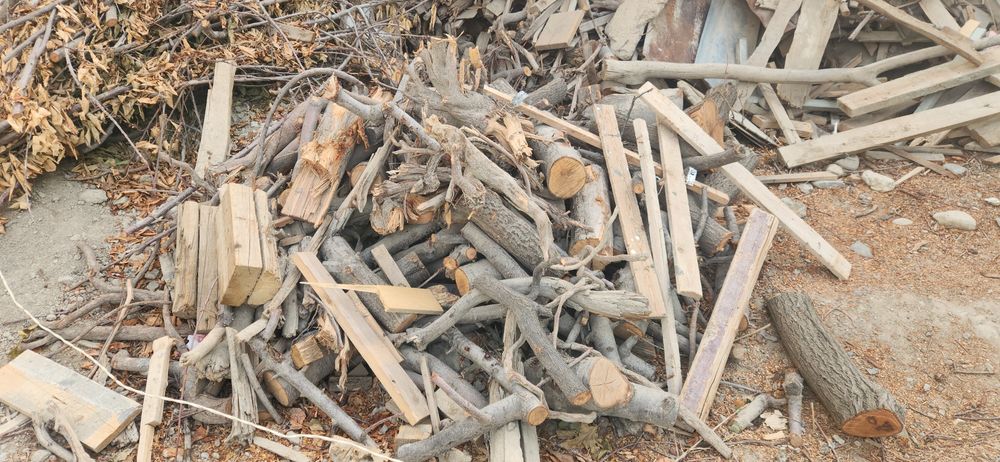 Utin bor quruq mevali daraxtniki