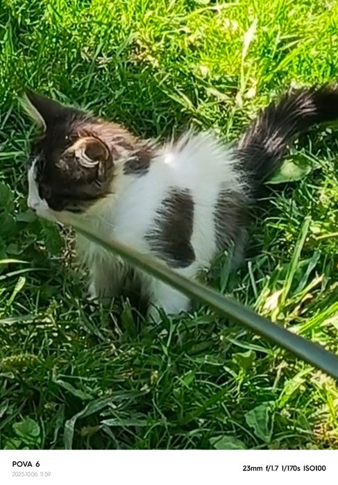 Акция на Котëнк.. Мальчик..