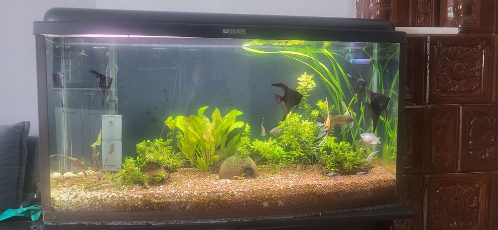 Acvariu 100cm/35/45 complet