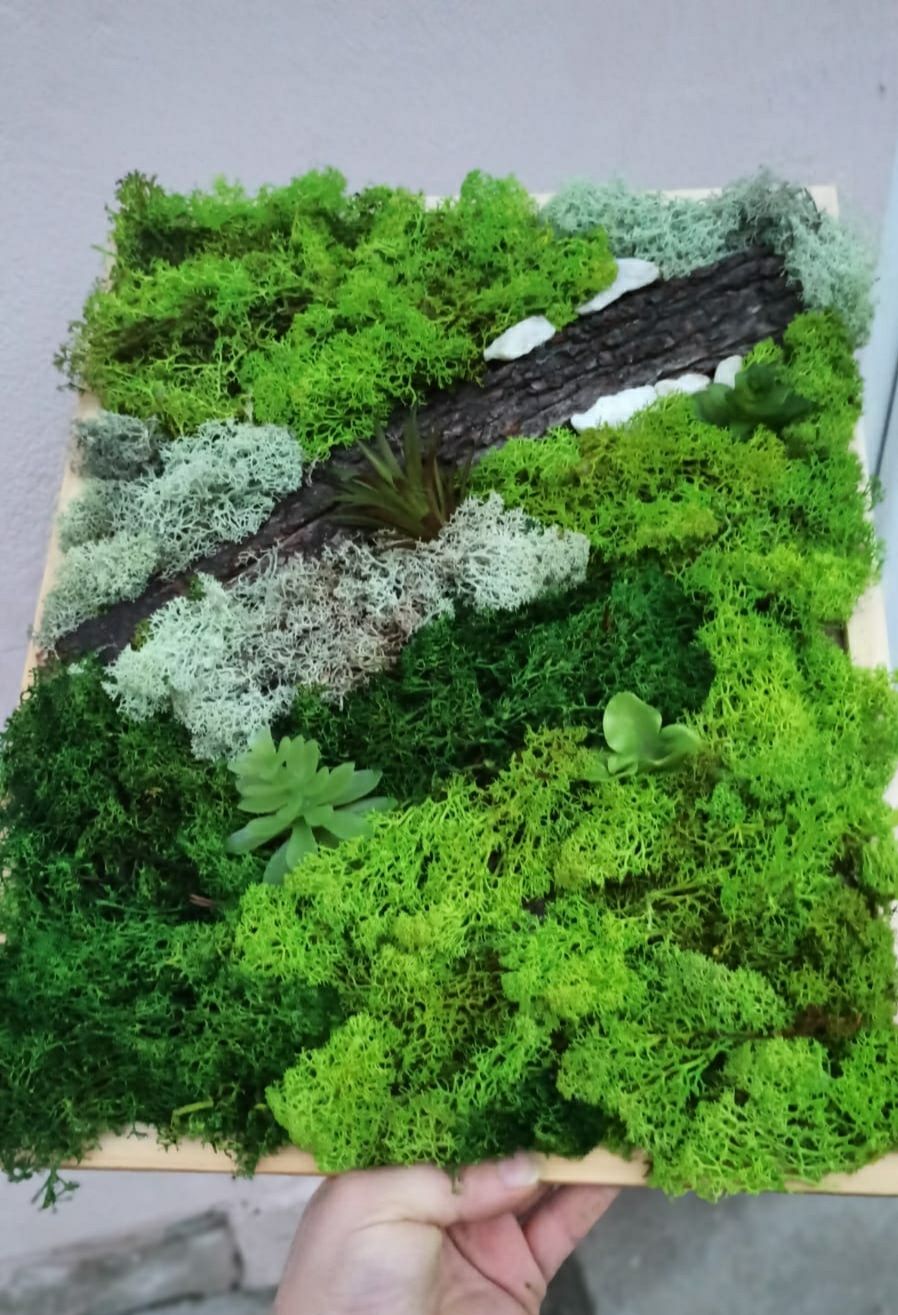 Tablou licheni verde abstract