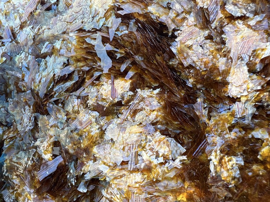 Serlac/shellac fulgi