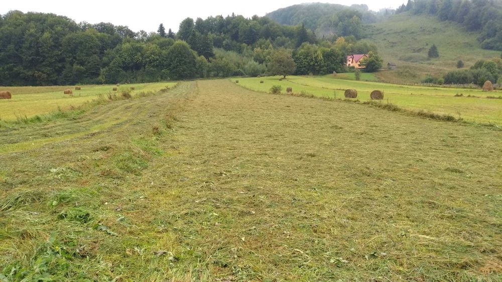 Teren 3930 mp Bucsoaia - Gura Humorului