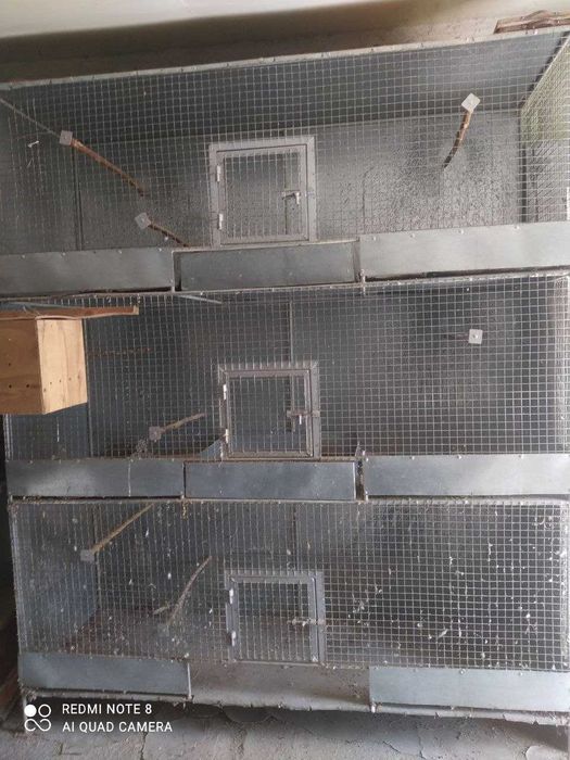 Qush ini sotiladi  O`lcham: bo`yi 210 sm eni 180 sm