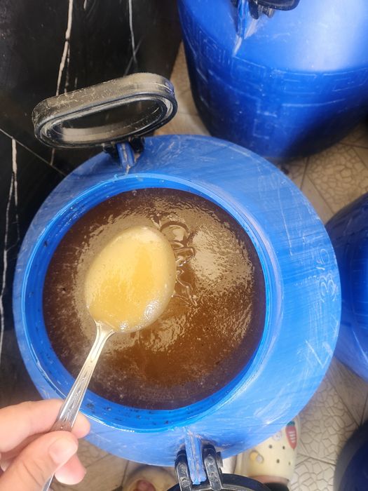 Toza tog' asallari har xil turdagi