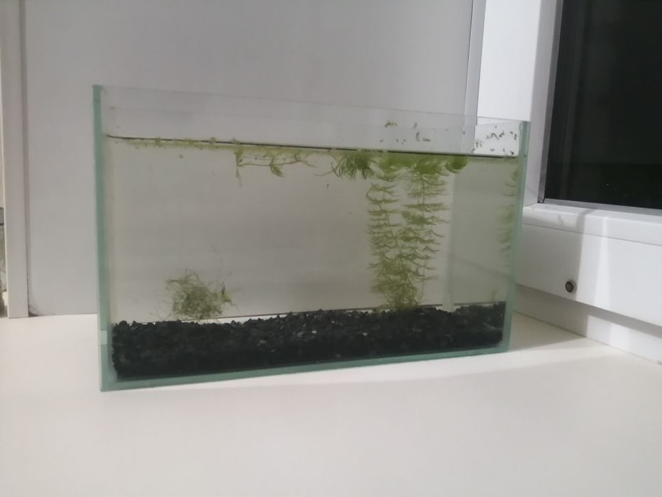 Аквариум 7 литров