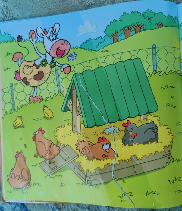 Set 4 carti "Sunt educat, mă port frumos!"