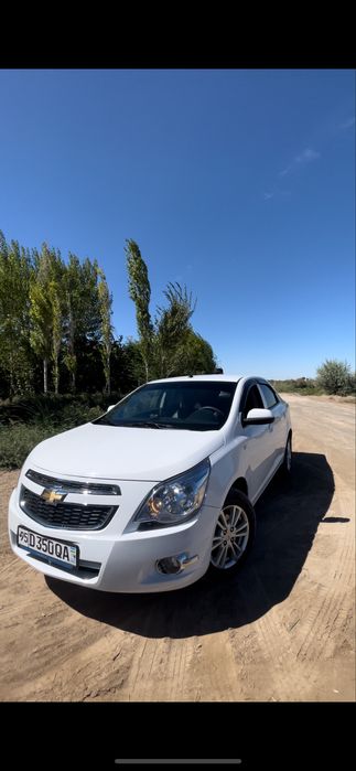 Кобалыт 2024 стайл