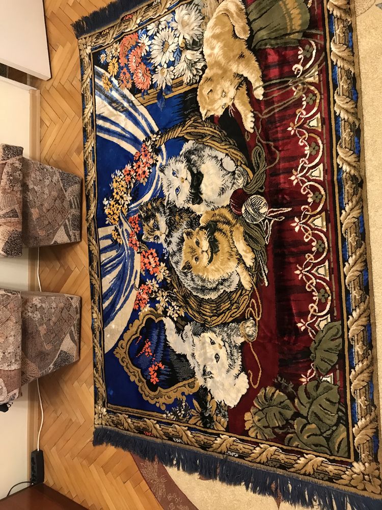 Carpeta cu pisici