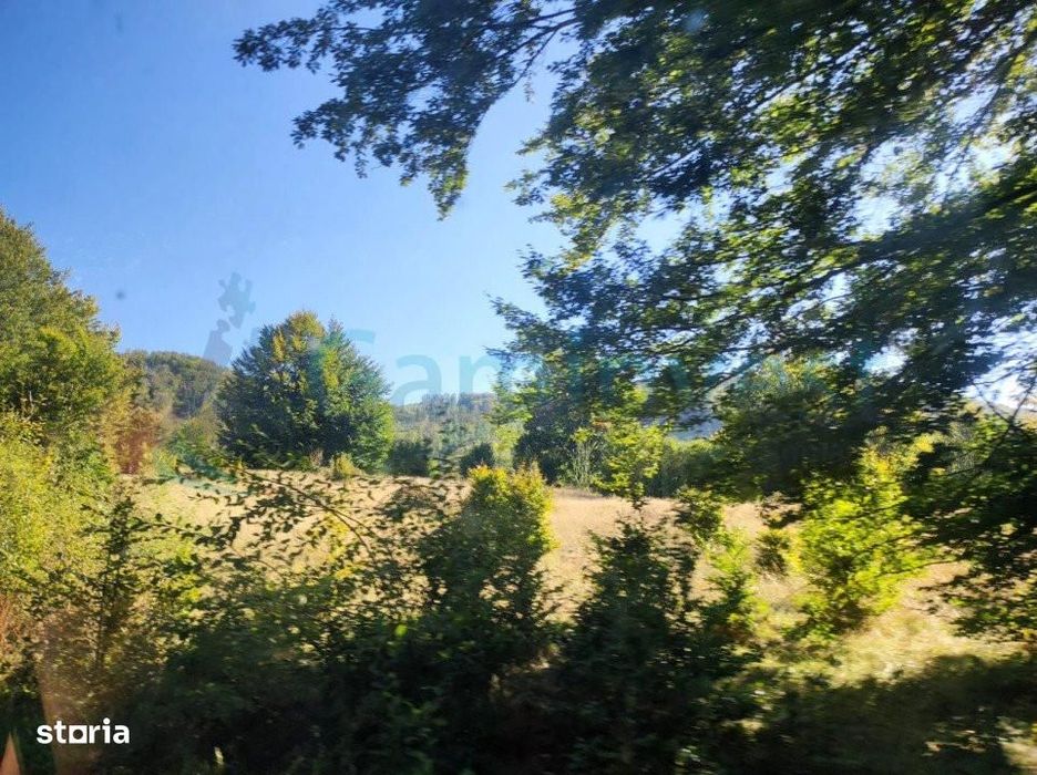 Gaminvest Teren extravilan cu priveliște - Damis, Bratca, Bihor, V4100