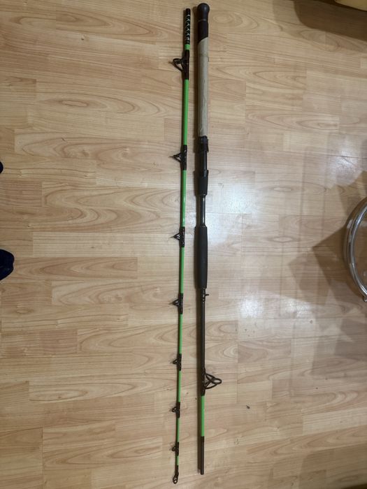 Delphin WALKYRA / 2 части 260cm/850g акция въдица за сом