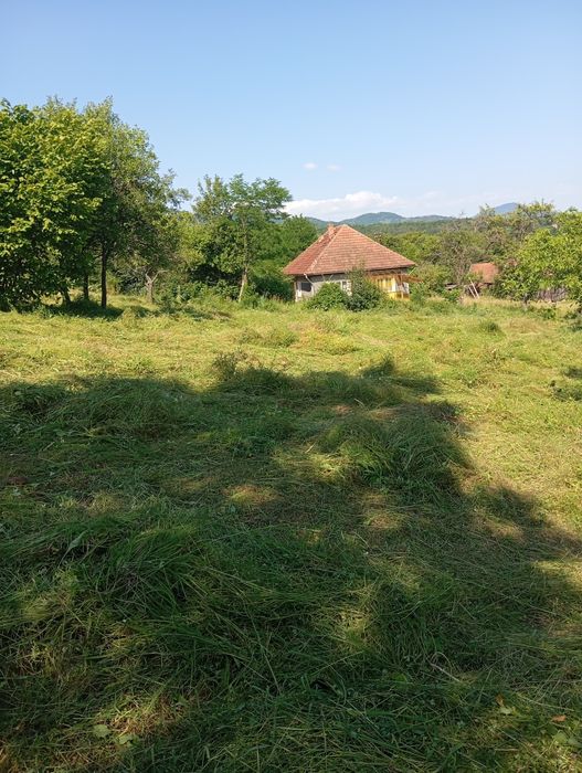 Executam defrișări, toaletări copaci,cosit iarba.Realizam debarasări