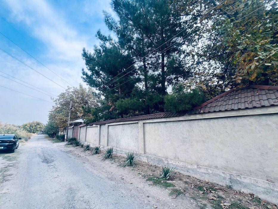 Dala hovli Qibray tumani
