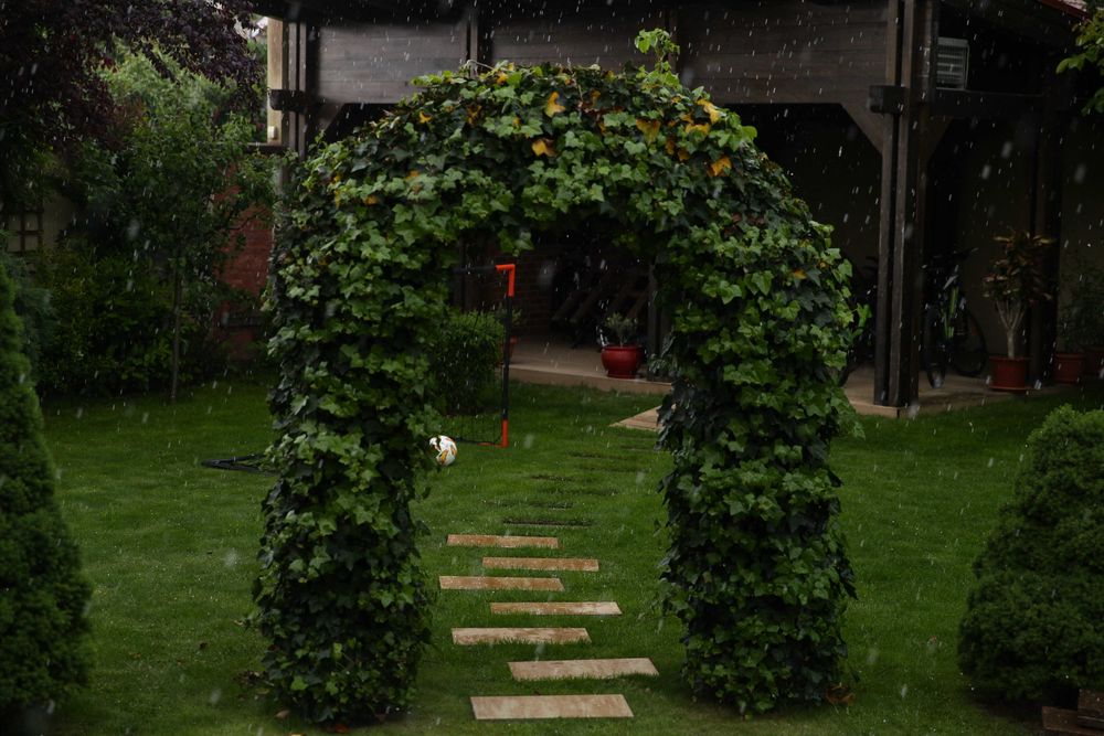 Pavaj, dale SAHARA Petra pavaje