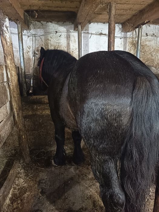 De vânzare relații la telefon