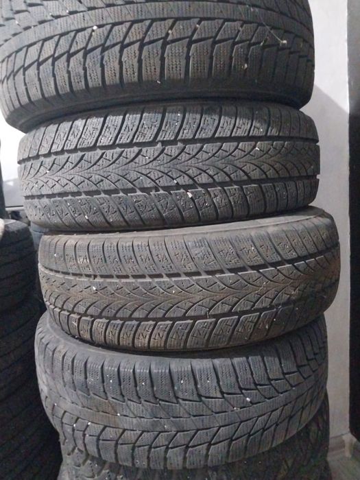 Зимние шины Triangel