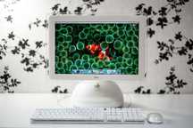 Apple iMac G4 17” The Lamp