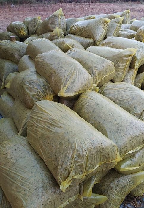 Silos qoplangan sotiladi