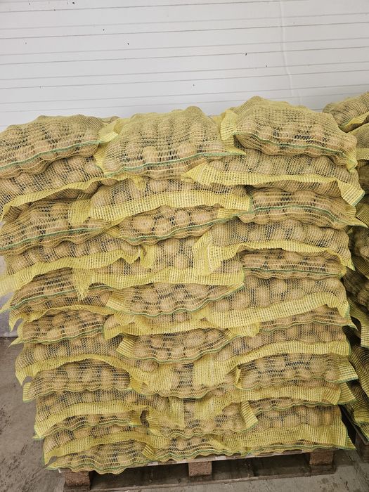 Сорая картофи продавам