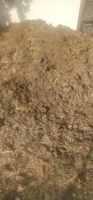 Бепул Нури Яне навос