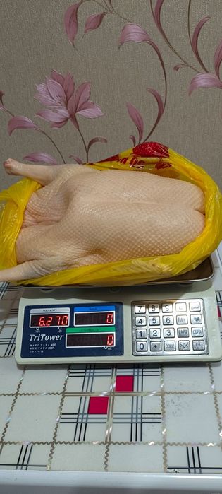 Продам тушки гусей