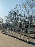 Телескоп нарвонлар бир ва икки қанотли барча ўлчамдаги нарвонлар оптом