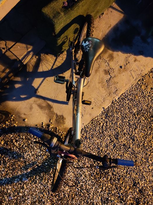 bicucleta copii 250 ron