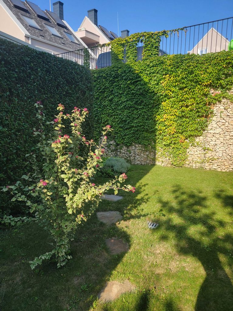 Дава се под наем Тристаен апартамент в Варна, Аспарухово - 105 кв.м за 849 € - Снимка #3