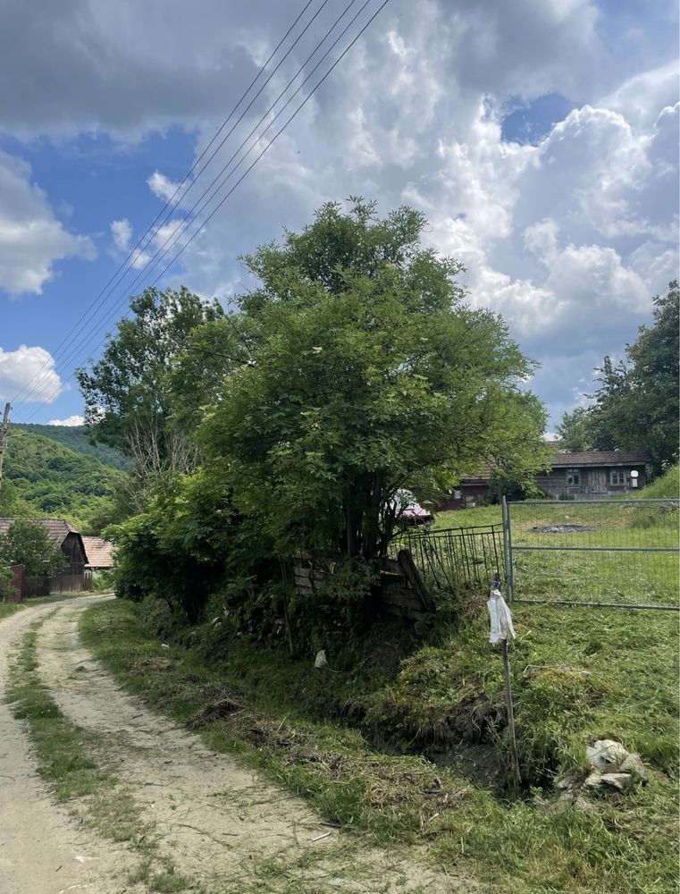 Teren Magura ierii/Iara/Valea ariesului, intravilan, pentru Cabana.