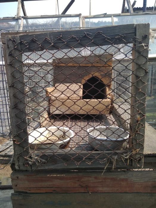 Кроличьи клетки б.у.самодельные