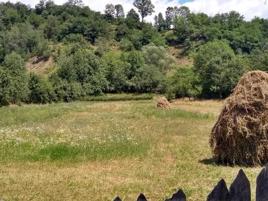 Vind 3500 / 5000m² teren intravilan Polovragi, Gorj