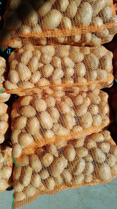 Cartofi consum Carrera Bellarosa Red Fantasy Ultra, Samanta import