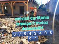 Transport moloz gunoi debarasări poduri beciuri mansarde ect