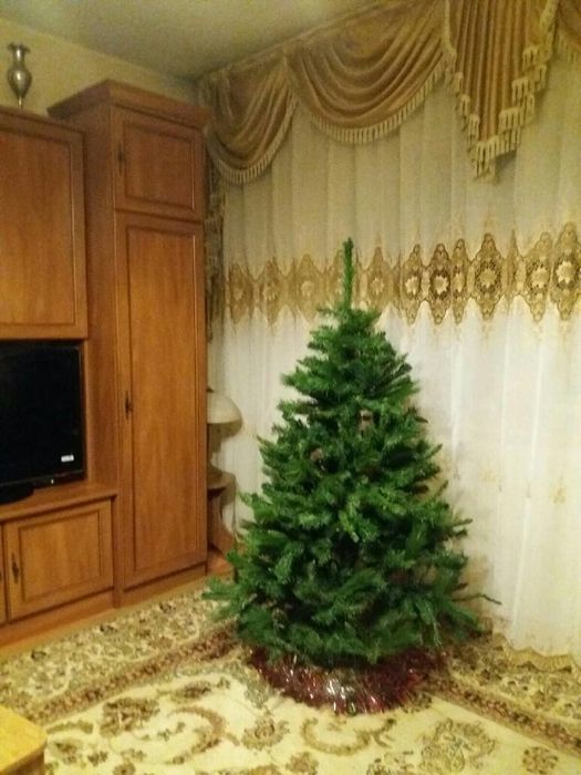Продам ёлку 15000