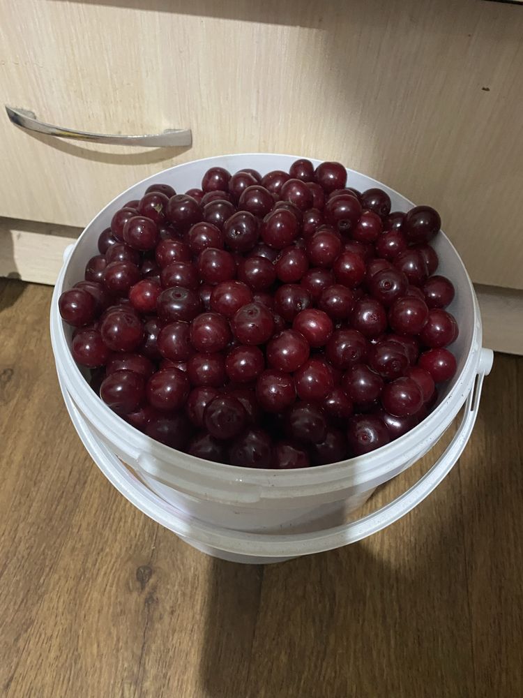 Вишня домашняя ведро 5л