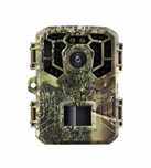 Camera Padure, Natura, 1080P,