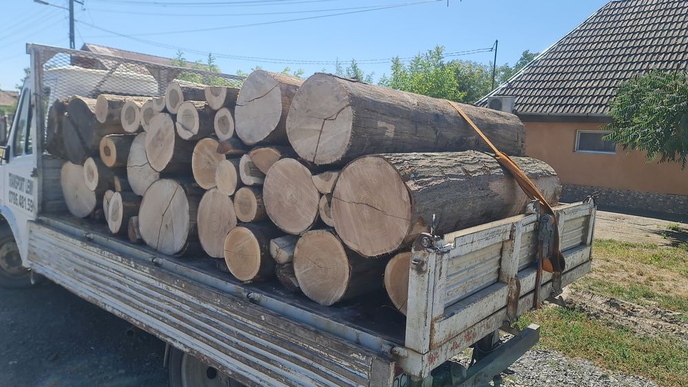 Transport lemn de foc jud Arad şi Bihor, fag, carpen, cer, stejar, rug