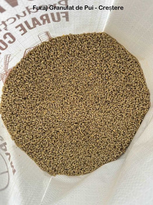 NOVATICOM - Furaje Naturale | Concentrate | Șroturi  pentru Animale