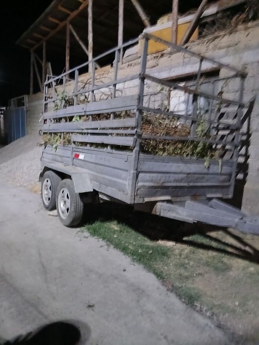 Prsep satladi yili 2021 yilgi