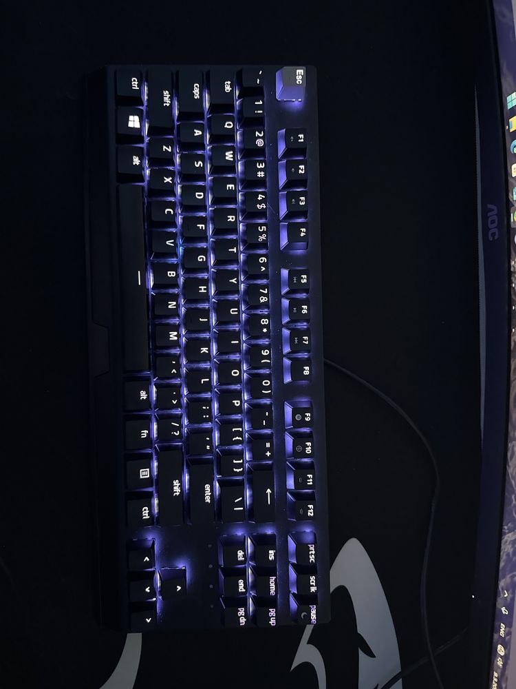 Razer blackwidow v3 tenkeyless