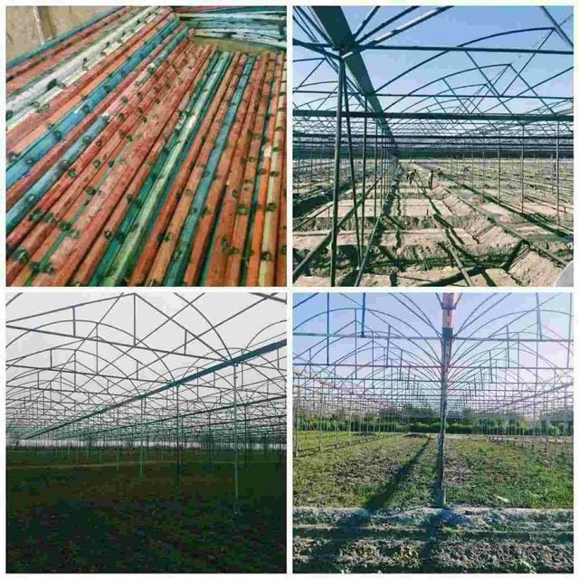 Issiqxona  qurish xizmati  ushtasidan. Biz ishga. Javob. Siz. Pulga