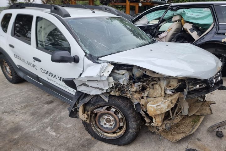 Usa portiera dreapta spate Dacia Duster 1 [facelift] [2013 - 2017] 1.
