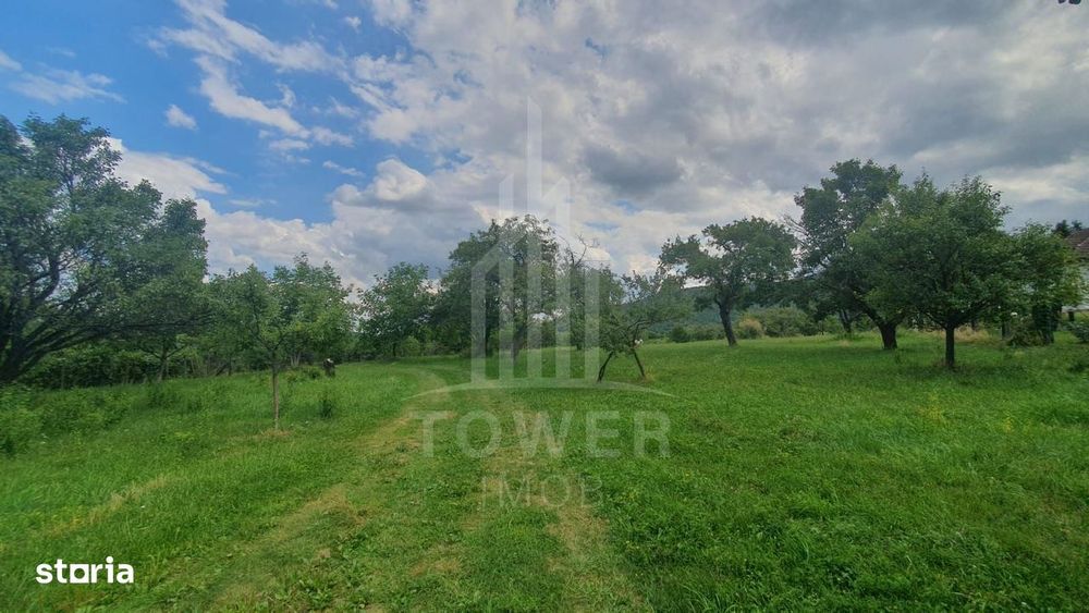 Teren de vanzare in Sibiel .
