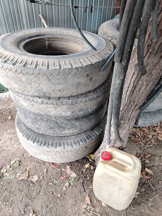 11 р 20 ризина срочно продам 8 шт