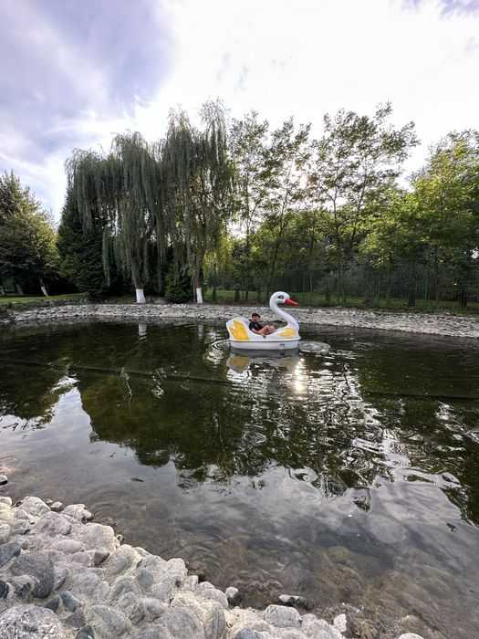 Valea Avrigului cabana cu piscina