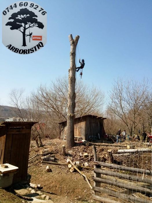 Alpiniști /Alpinism utilitar, toaletat arbori,