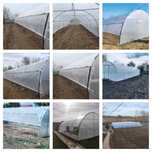 Solarii Legume - Solarii de Gradina - Transport Gratuit