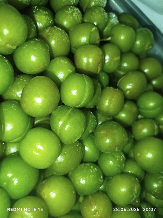 Куксултон свежий музлатилган 50000