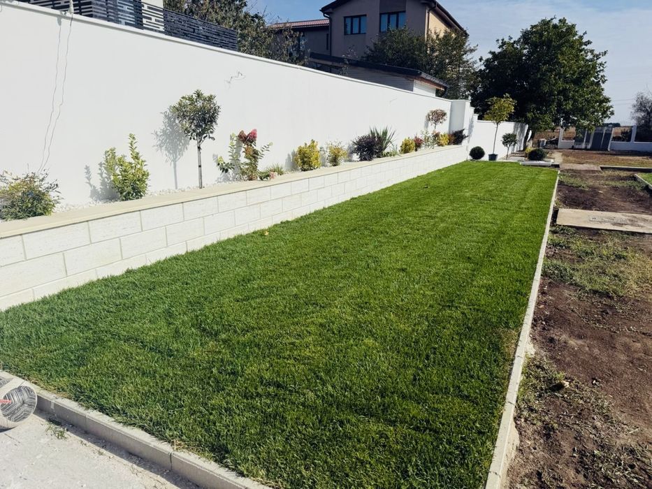 Plante, flori, amenajări spati verzi,sisteme irigatie,gazon Rebegarden