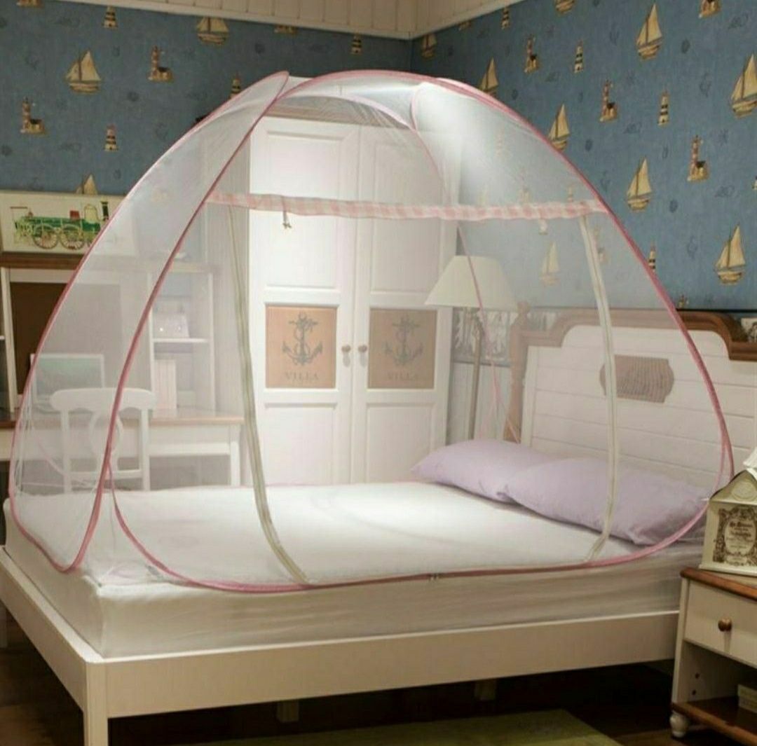 Pashshaxona palatka
