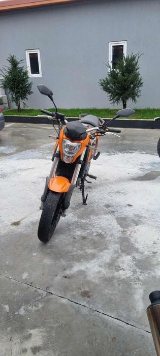 Vand grs 125 inmatriculata